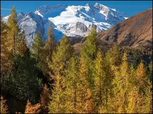 Góry Marmolada, Lodowiec, Włochy, Jesień, Drzewa, Żółte, Marmolada Glacier