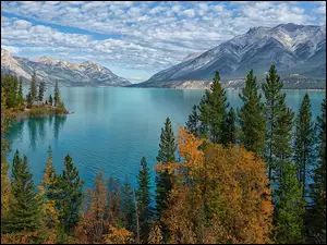 Drzewa, Góry Skaliste, Abraham Lake, Alberta, Canadian Rockies, Las, Kanada, Jezioro