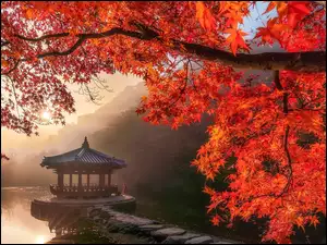 Gałęzie, Altana, Nara Park, Pawilon Ukimido, Staw, Nara, Klon, Jesień, Promienie słońca, Sagiike, Japonia