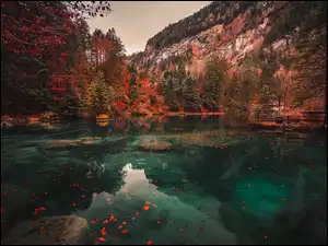 Blausee, Szwajcaria, Alpy, Drzewa, Kanton Berno, Jezioro, Jesień, Góry