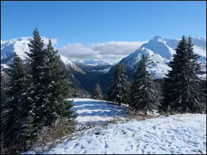 Drzewa, Zima, Ślady, Śnieg, Góry