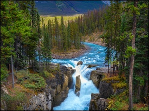 Park Narodowy Jasper, Wodospad, Drzewa, Kanada, Skały, Rzeka, Sunwapta