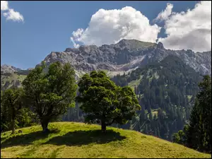 Góry Alpy Algawskie w Niemczech