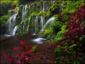 Bali, Indonezja, Wodospad, Roślinność, Okręg Buleleng, Banyu Wana Amertha Falls