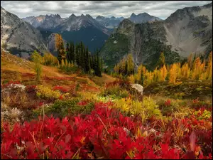 Góry Kaskadowe, Jesień, Roślinność, Stan Wyszyngton, Drzewa, Chmury, Stany Zjednoczone, Kolorowa