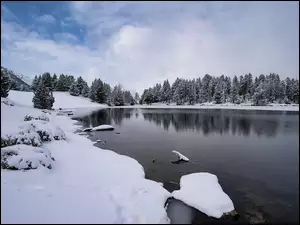 Jezioro, Chmury, Śnieg, Zima, Drzewa