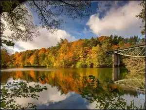 Most, Jezioro, Drzewa, Chmury, Las, Jesień