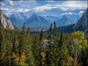 Lasy, Kanada, Góry, Drzewa, Alberta, Fairholme Range, Jesień, Park Narodowy Banff
