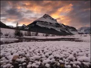 Góry, Zima, Chmury, Kanada, Drzewa, Alberta