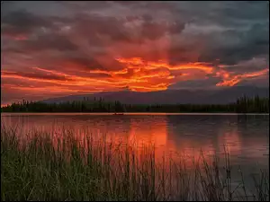 Jezioro Boya, Kajakarz, Kanada, Góry, Kolumbia Brytyjska, Wschód słońca, Trawa
