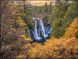 Widok zza jesiennych drzew na wodospad Burney Falls