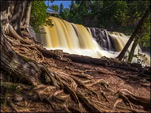 Park stanowy Gooseberry Falls, Drzewo, Gooseberry Falls, Minesota, Korzenie, Most, Stany Zjednoczone, Wodospad