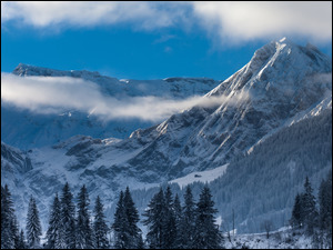 Chmury, Zima, Alpy, Drzewa, Śnieg, Skały, Szwajcaria, Góry