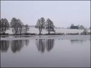 Ponury zimowy dzień nad jeziorem