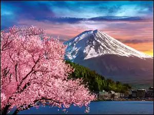 Góra, Wiosna, Domy, Mount Fuji, Kwitnące, Stratowulkan Fudżi, Japonia, Drzewo