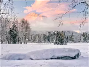 Zima, Mgła, Mgła, Góra, Alberta, Drzewa, Góry, Kanada, Pilot Mountain, Park Narodowy Banff, Chmury