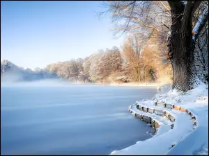 Drzewa nad zamrzniętym jeziorem we mgle