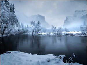 Stany Zjednoczone, Góry, Kalifornia, Mgła, Park Narodowy Yosemite, Rzeka, Merced River, Zima, Drzewa