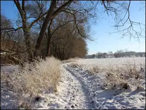 Wydeptana w śniegu droga na polu