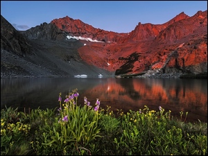 Sierra Nevada, Kwiaty, Stany Zjednoczone, Góry, Kalifornia, Birch Lake, Jezioro
