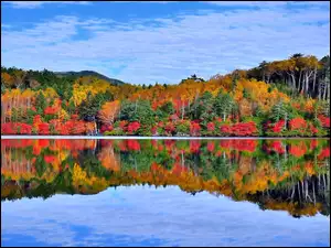 Jezioro Shirakoma, Kolorowe, Japonia, Jesień, Nagano, Odbicie, Drzewa