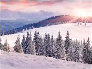 Promienie słońca, Pole, Śnieg, Niebo, Chmury, Las, Drzewa, Zima, Góry