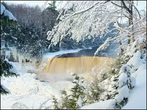 Śnieg, Drzewa, Stany Zjednoczone, Zima, Michigan, Tahquamenon Falls, Wodospad
