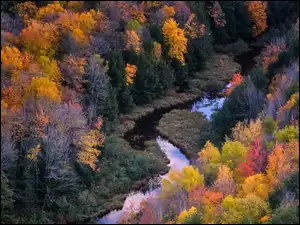 Rzeka, Drzewa, Las, Jesień, Kolorowe