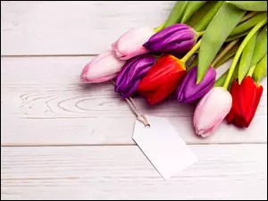 Kilka kolorowych tulipanów