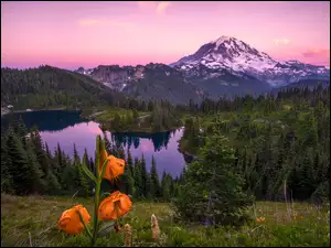 Kwitnące lilie z widokiem na jezioro i góry