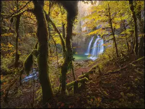 Rzeka, Jesień, Wodospad, Las, Drzewa