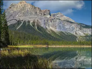 Góry Skaliste, Jezioro, Kanada, Park Narodowy Yoho, Kolumbia Brytyjska, Drzewa, Emerald Lake