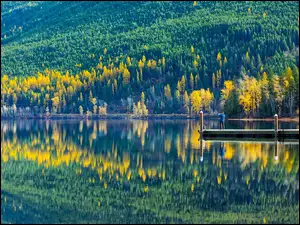 Lasy, Montana, Góry, Pomost, Mężczyzna, Park Narodowy Glacier, Jezioro, Stany Zjednoczone, Lake McDonald
