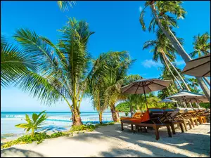 Leżaki pod palmami na plaży