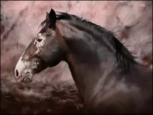 Obraz konia