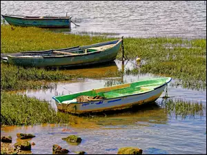 Łódki na brzegu rzeki porośniętej trawą