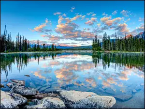 Jezioro w otoczeniu drzew w kanadyjskim Parku Narodowym Jasper