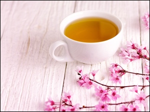 Filiżanka z herbatą obok kwitnącej gałązki