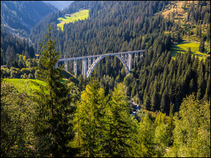 Wiadukt Langwieser, Szwajcaria, Alpy, Lasy, Kanton Gryzonia, Most, Drzewa, Góry