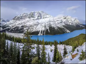 Jezioro Peyto Lake w Park Narodowy Banff zimową porą