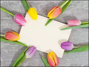 Kolorowe tulipany z kartką