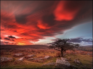 Park Narodowy Dartmoor o zachodzie słońca