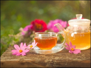 Kwiaty kosmei obok filiżanki herbaty i czajniczka