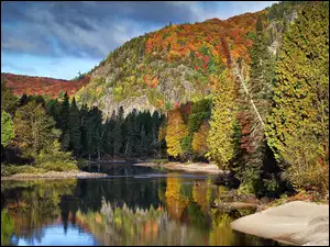 Lasy, Kanada, Rzeka, Góry, Jesień