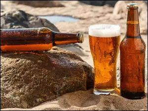 Butelki i szklanka z piwem