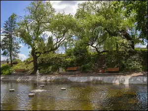 Ławki pod drzewami przy fontannie w parku