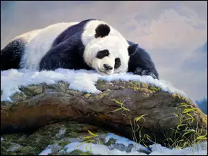 Ĺnieg, Nancy Glazier, SkaĹa, Panda wielka, Malarstwo