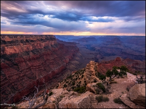 Kolorado, Park Narodowy Wielkiego Kanionu, Drzewa, Stany Zjednoczone, Chmury, SkaĹy, Grand Canyon