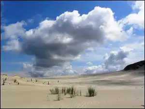 Chmury, Pustynia, GĂłry, Trawy