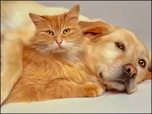 Leżący pies z kotem w grafice